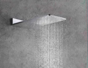 2-IN-1 Rain Shower Head in Chrome