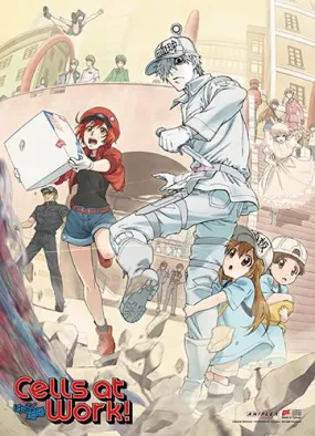 Cells at Work: Key Art Wall Scroll