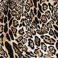 Leopard Print Oversize Blouse